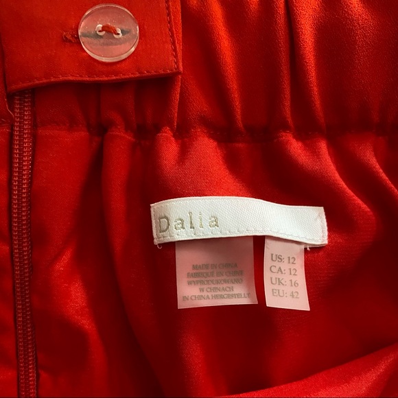 Dalia red miniskirt lined w back button & zip. Flat front w covered elastic back - Picture 3 of 3